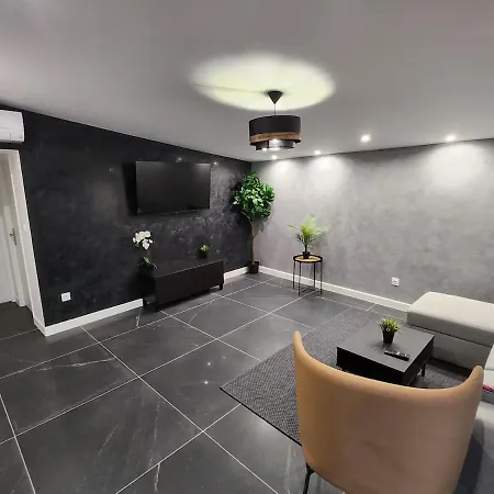 4 T3 Neuf Entierement Climatise - Stade-eurexpo Apartment *
