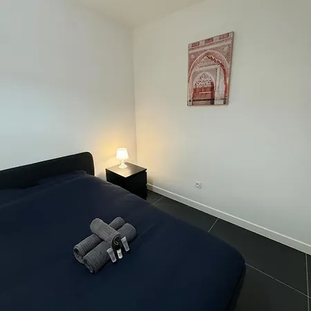 4 T3 Neuf Entierement Climatise - Stade-eurexpo Apartment