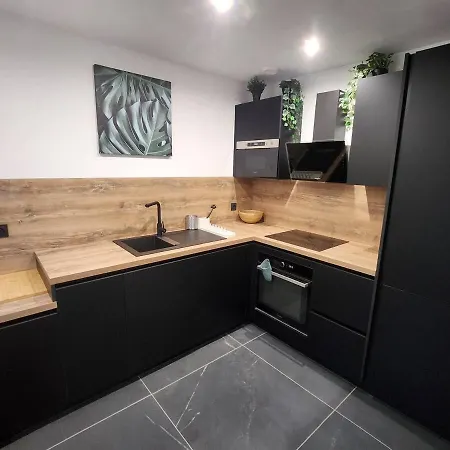 Apartment 4 T3 Neuf Entierement Climatise - Stade-eurexpo